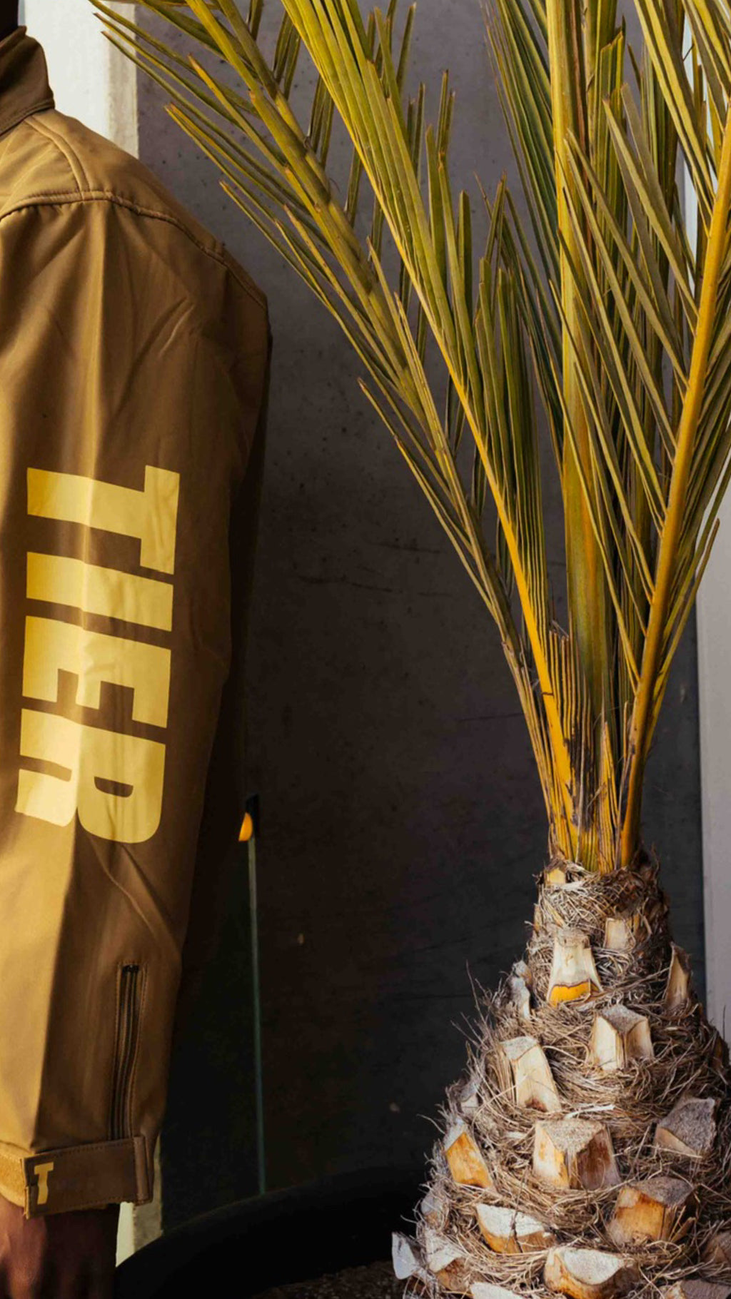 Gold Space Jacket